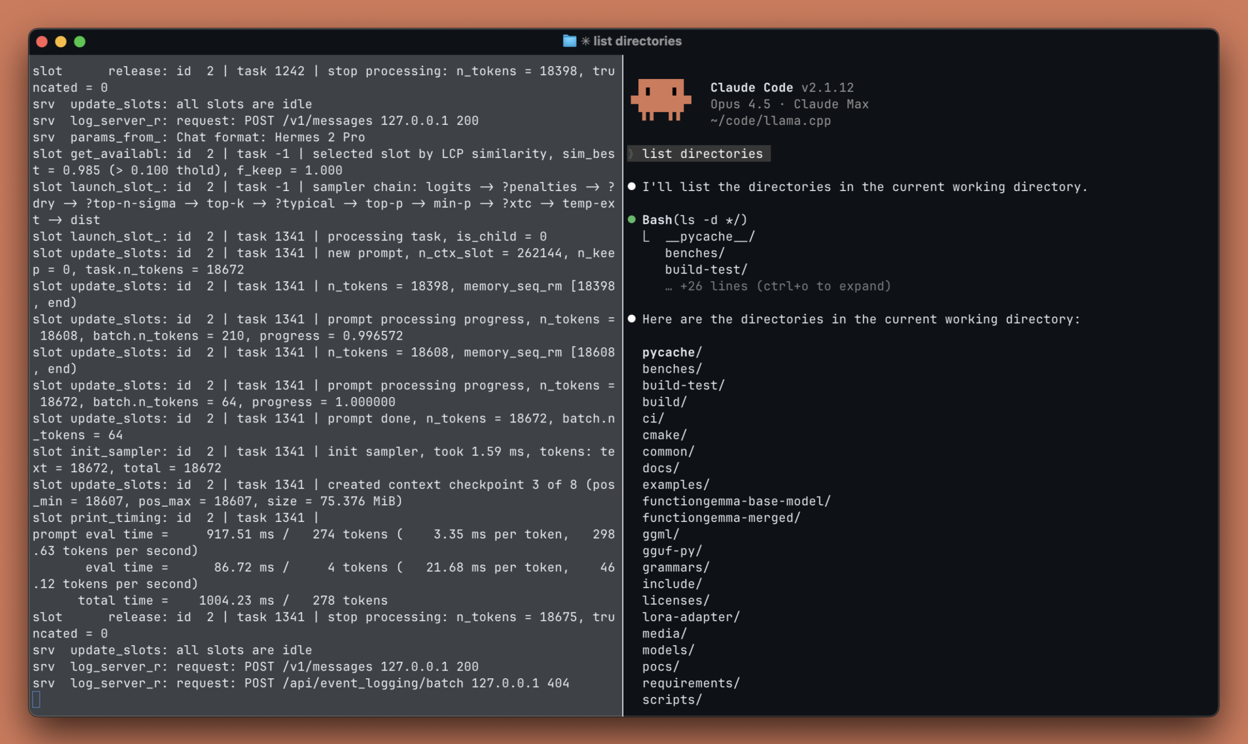 llama.cpp with Anthropic API support